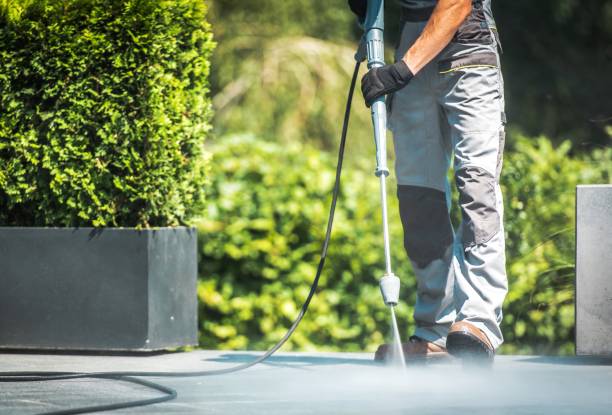 Best Roof Washing  in Evergreen, CO