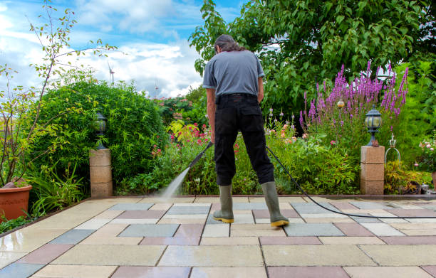 Best Roof Washing  in Evergreen, CO